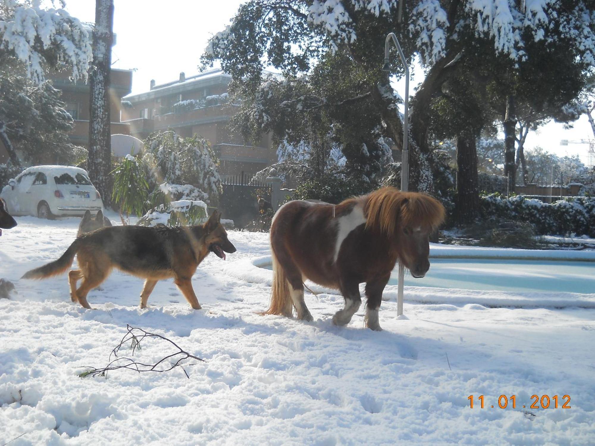 Relais La Canfora Roma Ngoại thất bức ảnh